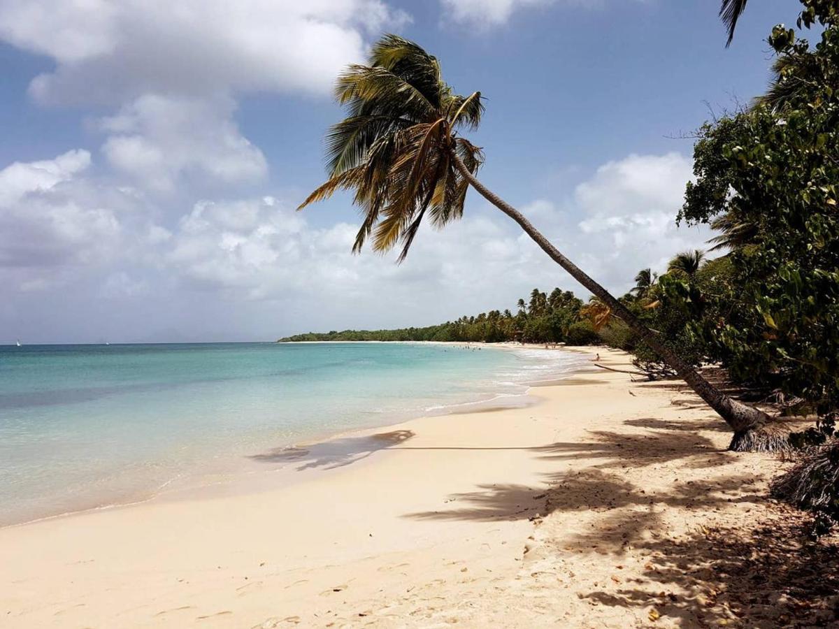 Dany Lodge - Spacieux T2 A 5 Minutes De La Plage En Voiture Rivière-Pilote Kültér fotó